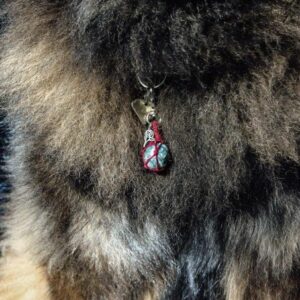 Amulette pour animaux