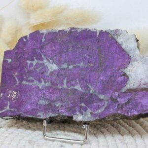 Tranche de Purpurite